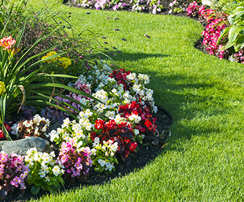 Votre coaching jardin dans les environs de Libourne Votre coaching jardin dans les environs de Libourne